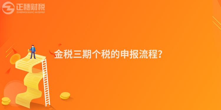 金稅三期個(gè)稅的申報(bào)流程？