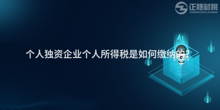 個人獨資企業個人所得稅是如何繳納的？
