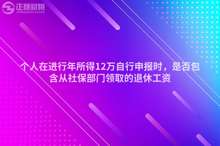 個人在進行年所得12萬自行申報時,是否包含從社保部門領取的退休工資