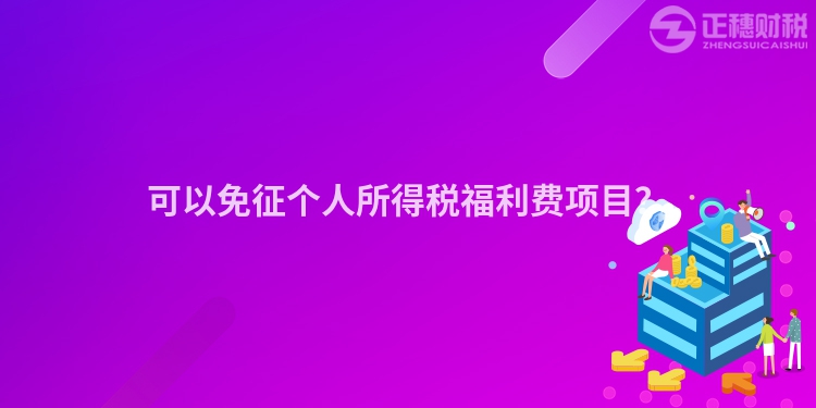 可以免征個人所得稅福利費項目？