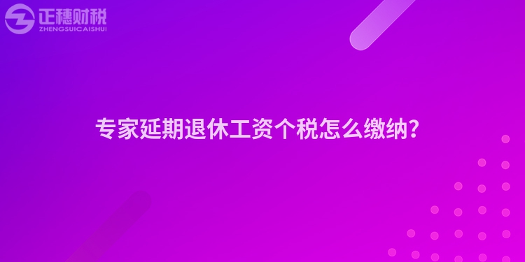 專家延期退休工資個稅怎么繳納？