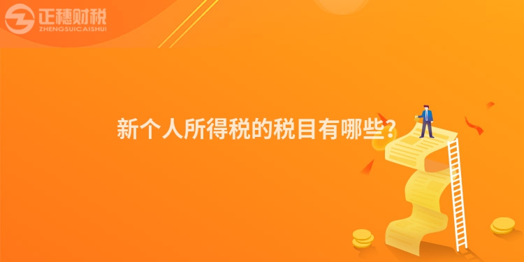 新個人所得稅的稅目有哪些？
