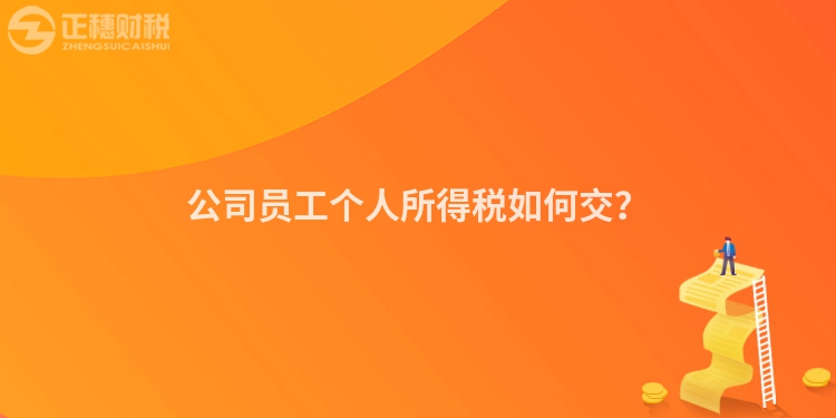 公司員工個人所得稅如何交？