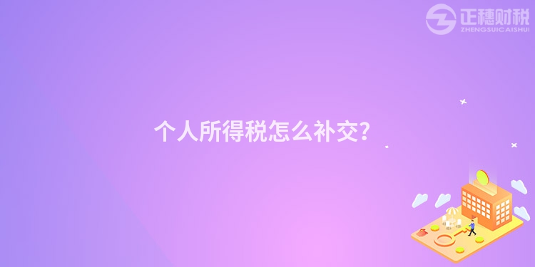 個人所得稅怎么補交？
