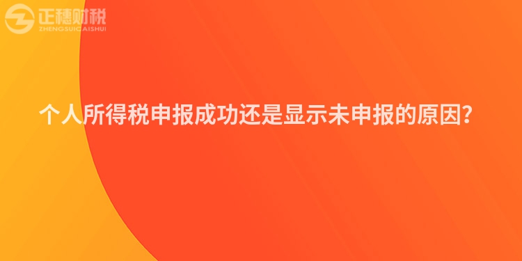 個(gè)人所得稅申報(bào)成功還是顯示未申報(bào)的原因？