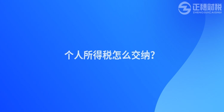個人所得稅怎么交納？