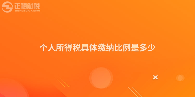 個人所得稅具體繳納比例是多少