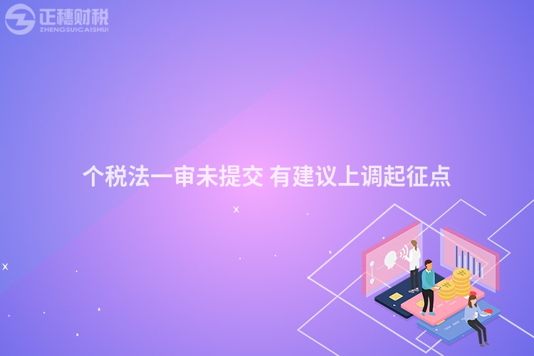 個稅法一審未提交 有建議上調起征點