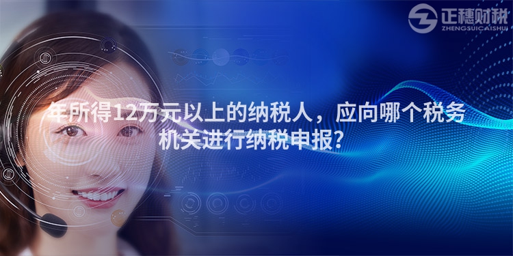 年所得12萬元以上的納稅人，應向哪個稅務機關進行納稅申報？