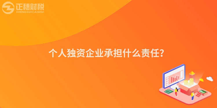 個人獨資企業(yè)承擔什么責任？