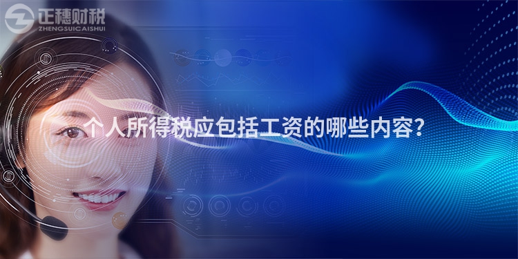 個人所得稅應包括工資的哪些內容？