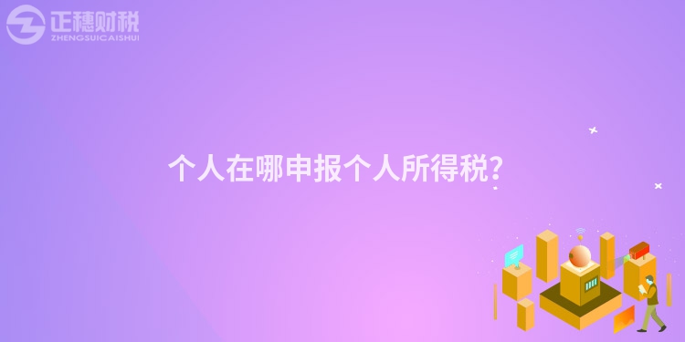 個(gè)人在哪申報(bào)個(gè)人所得稅？