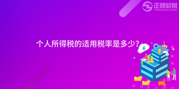 個(gè)人所得稅的適用稅率是多少？