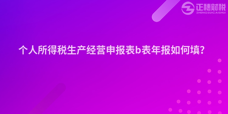 個人所得稅生產經營申報表b表年報如何填？
